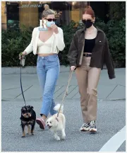 Imagem recente de reinhart