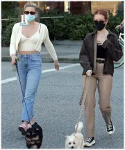 Imagem recente de reinhart