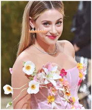 Imagem recente de reinhart