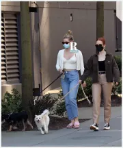 Imagem recente de reinhart