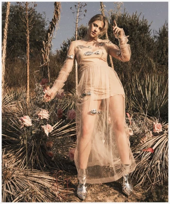 Imagem recente de reinhart