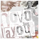 Imagem recente de reinhart