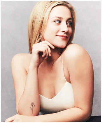 Imagem recente de reinhart