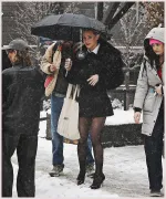 Imagem recente de reinhart