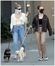 Imagem recente de reinhart