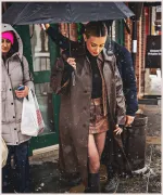 Imagem recente de reinhart