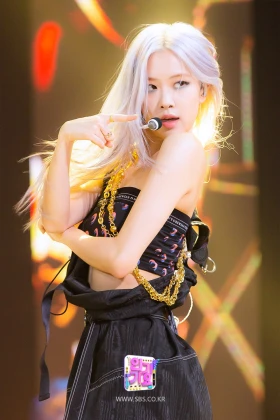 Imagem recente de rose