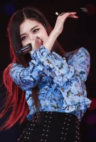 Imagem recente de rose