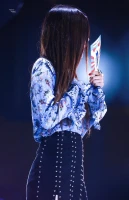 Imagem recente de rose