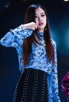 Imagem recente de rose