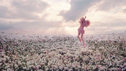 Imagem recente de rose