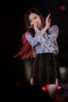 Imagem recente de rose