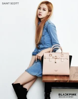 Imagem recente de rose