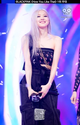 Imagem recente de rose