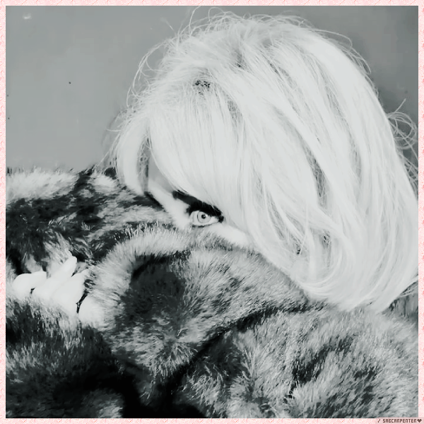 Foto de sabcarpenter