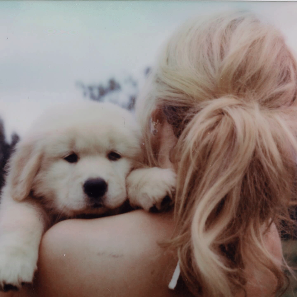 Foto de sabcarpenter