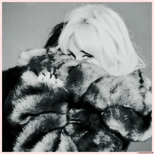 Foto de sabcarpenter