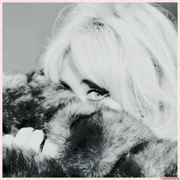 Foto de sabcarpenter