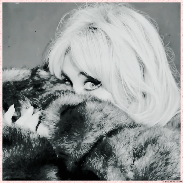 Foto de sabcarpenter