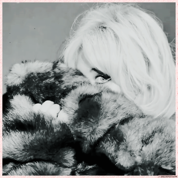 Foto de sabcarpenter