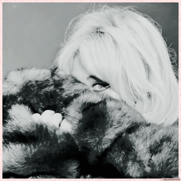 Foto de sabcarpenter