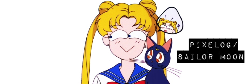 Banner do sailormoon