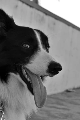 Imagem recente de saudade