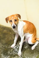 Imagem recente de saudade