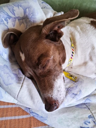 Imagem recente de saudade