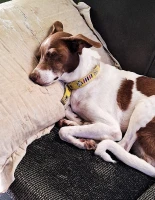 Imagem recente de saudade