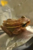 Imagem recente de saudade