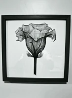 Imagem recente de saudade