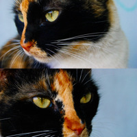 Imagem recente de saudade