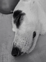 Imagem recente de saudade