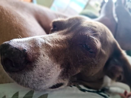 Imagem recente de saudade