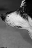 Imagem recente de saudade