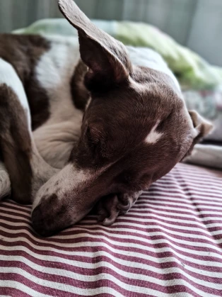 Imagem recente de saudade