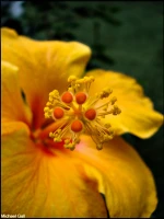 Imagem recente de saudade