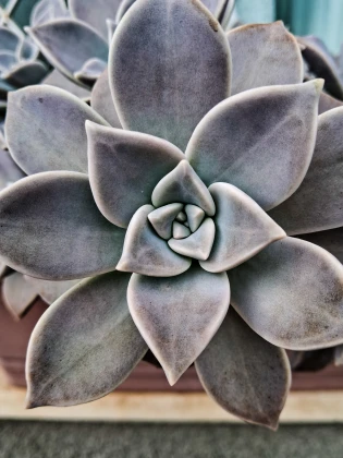 Imagem recente de saudade