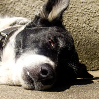 Imagem recente de saudade