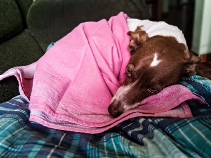 Imagem recente de saudade