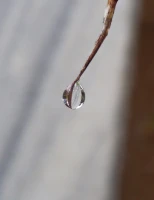 Imagem recente de saudade