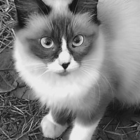 Favorito especial de michaelgall