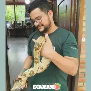 Imagem recente de savi0o