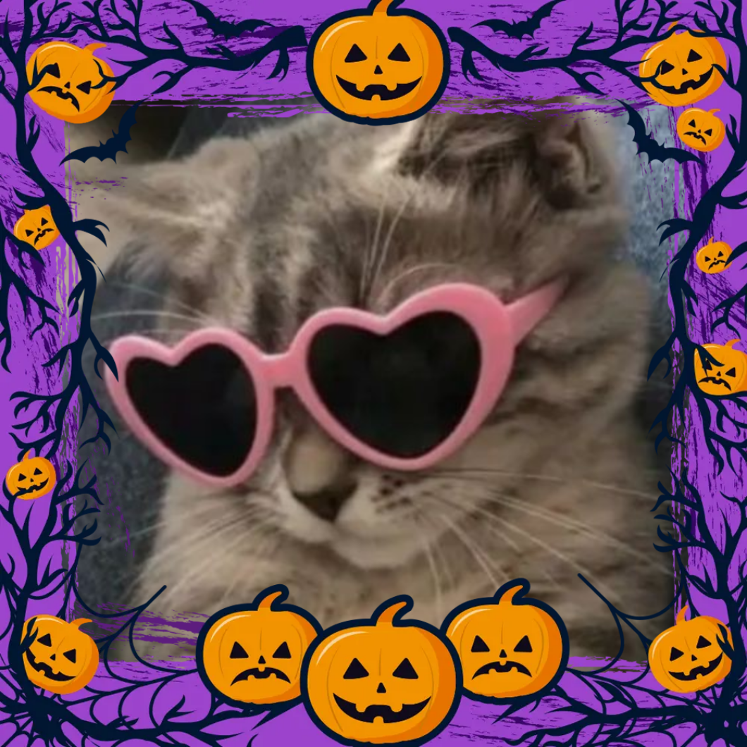 Foto de semeandoamor