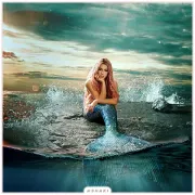 Imagem recente de shaki