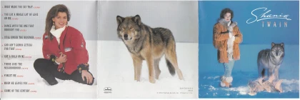 Imagem recente de shaniatwain