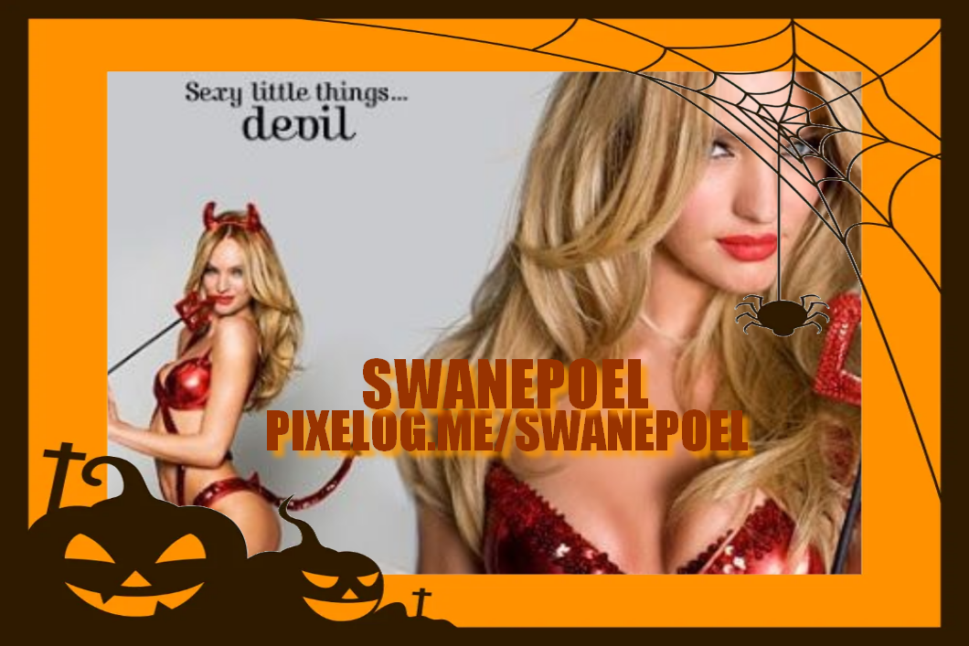 Banner do swanepoel