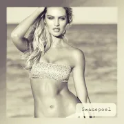 Imagem recente de swanepoel