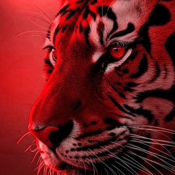 Avatar de tigers